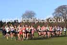 Junior Womens 2025 Northern Cross Country Champs, Tatton Park, Knutsford, Cheshire. Photo: David T. Hewitson/Sports for All Pics